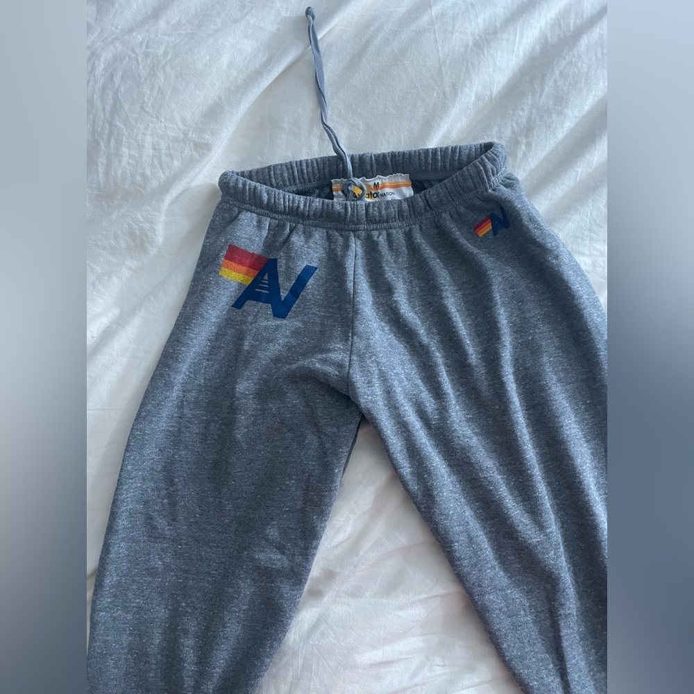 Brand new never been worn aviator nation sweats!!